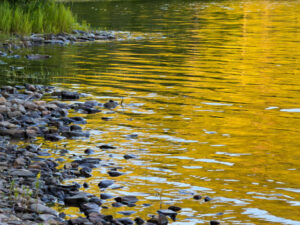 Many Faces of Water on South Branch Pond (Photos)