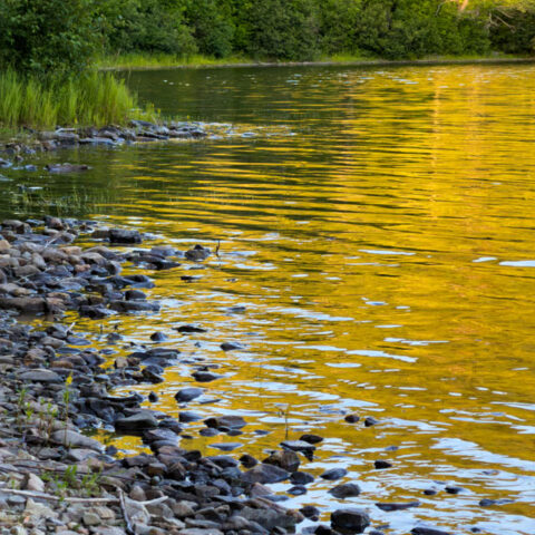 Many Faces of Water on South Branch Pond (Photos)