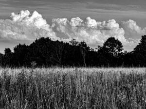 Recent Black and White Photography