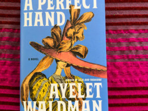 A Perfect Hand (Book Review)