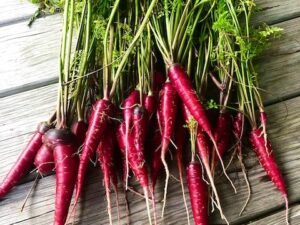 A Pot of Red Lentils (Poem by Peter Pereira)