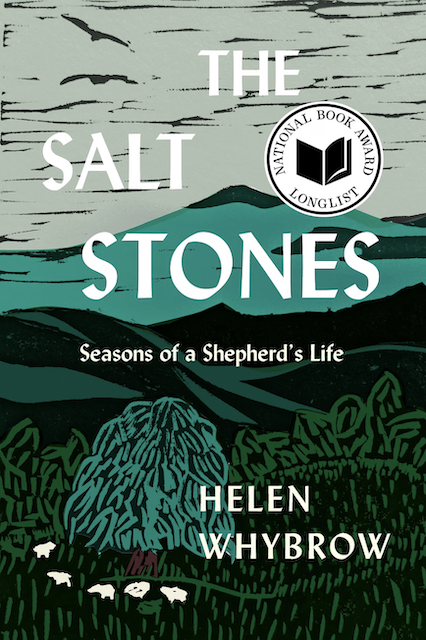 The Salt Stones book review