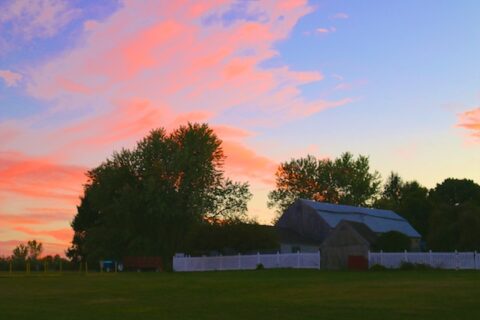 Sunset quote by Elizabeth Strout